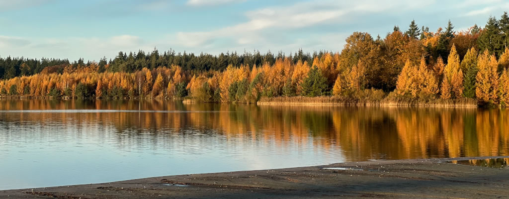 Vos Zand en Grind Vos Zand en Grind